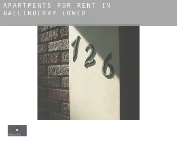 Apartments for rent in  Ballinderry Lower