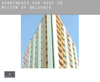 Apartments for rent in  Milton of Balgonie