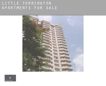 Little Torrington  apartments for sale