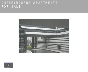Cheselbourne  apartments for sale
