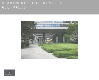 Apartments for rent in  Alltwalis