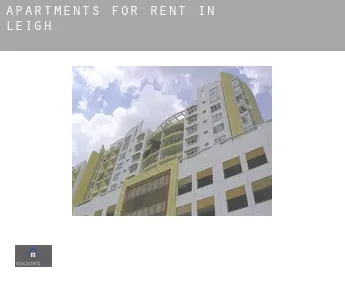 Apartments for rent in  Leigh