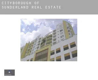 Sunderland (City and Borough)  real estate