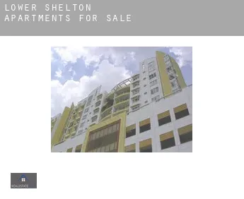 Lower Shelton  apartments for sale