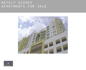 Nately Scures  apartments for sale