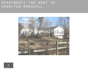 Apartments for rent in  Charlton Marshall