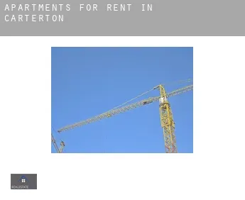 Apartments for rent in  Carterton