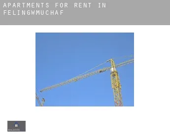 Apartments for rent in  Felingwmuchaf