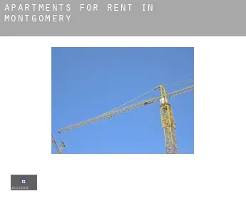 Apartments for rent in  Montgomery