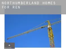Northumberland homes for rent
