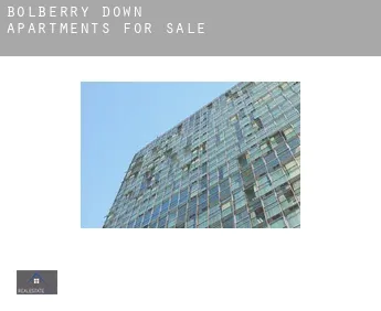 Bolberry Down  apartments for sale
