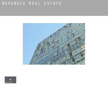 Boosbeck  real estate