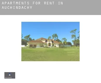 Apartments for rent in  Auchindachy
