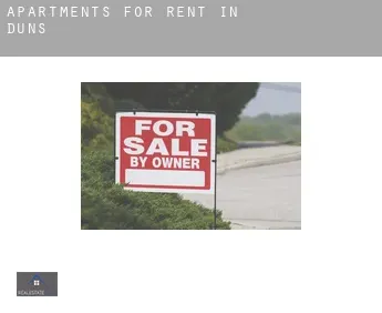 Apartments for rent in  Duns