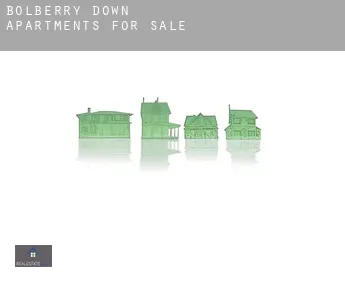 Bolberry Down  apartments for sale