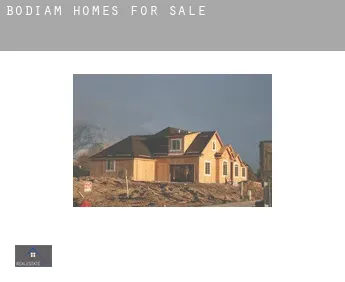 Bodiam homes for sale