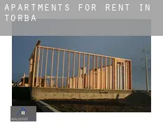 Apartments for rent in  Torbay