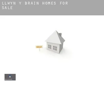 Llwyn-y-brain homes for sale