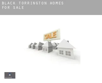 Black Torrington  homes for sale