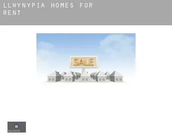 Llwynypia  homes for rent