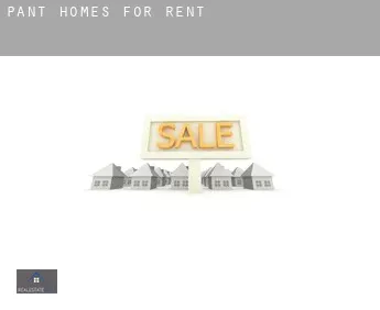 Pant  homes for rent