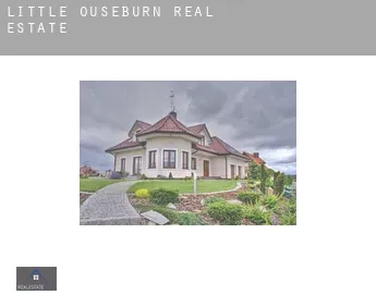 Little Ouseburn  real estate