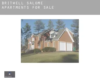 Britwell Salome  apartments for sale