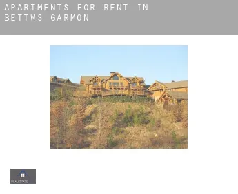 Apartments for rent in  Bettws Garmon
