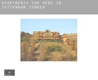 Apartments for rent in  Tattenham Corner