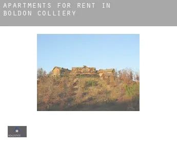Apartments for rent in  Boldon Colliery