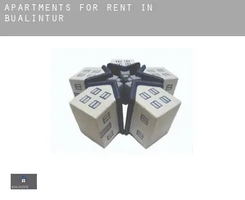 Apartments for rent in  Bualintur