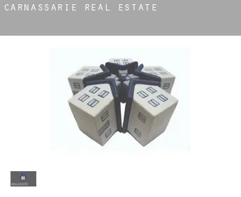 Carnassarie  real estate