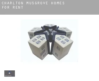 Charlton Musgrove  homes for rent