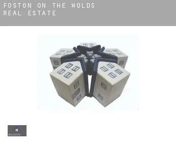 Foston on the Wolds  real estate