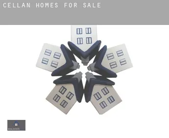 Cellan  homes for sale