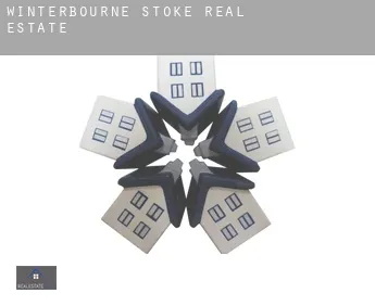 Winterbourne Stoke  real estate