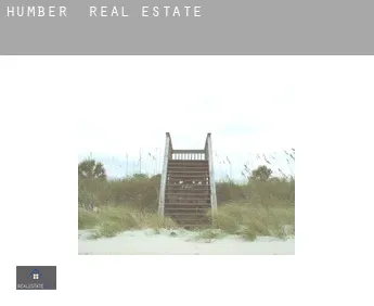 Humber  real estate