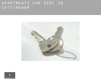 Apartments for rent in  Cottingham