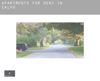 Apartments for rent in Calvo