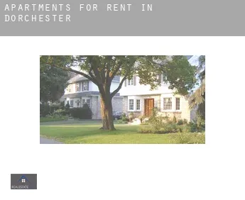 Apartments for rent in  Dorchester