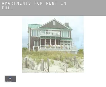 Apartments for rent in  Dull