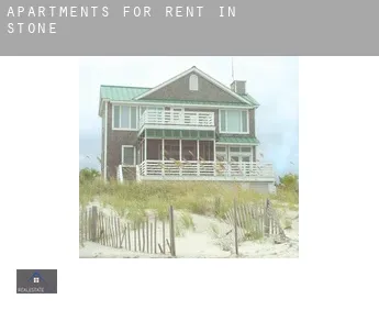 Apartments for rent in  Stone