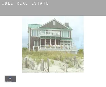 Idle  real estate