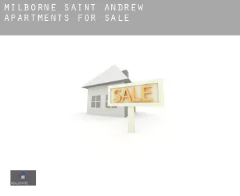 Milborne Saint Andrew  apartments for sale