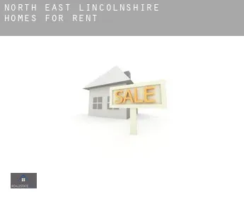 North East Lincolnshire homes for rent