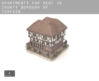 Apartments for rent in  Torfaen (County Borough)