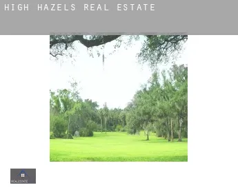 High Hazels  real estate