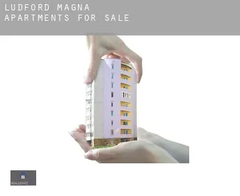 Ludford Magna  apartments for sale