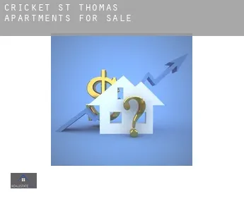Cricket St Thomas  apartments for sale