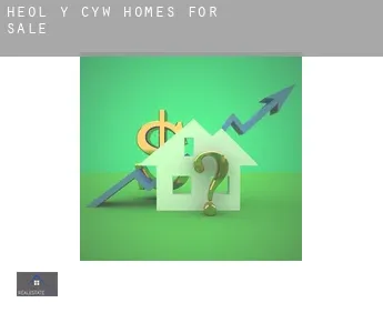 Heol-y-Cyw  homes for sale